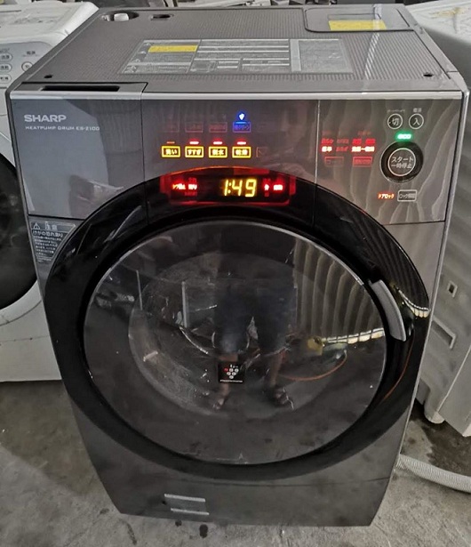 Sửa máy giặt tại Đại Kim, Đại TừSửa máy giặt tại Đại Kim, Đại Từ